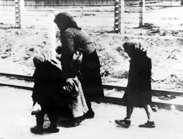 How the Nazis carried out their 'Final Solution'