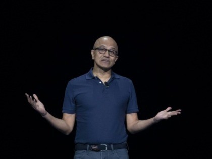 Microsoft CEO critical of new India citizenship law