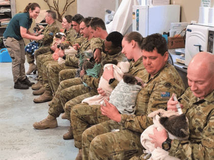 16 Regiment Emergency Support Force have been using their rest periods to lend a helping hand at the Cleland Wildlife Park , supporting our furry friends during feeding time and by building climbing mounts inside the park. A great morale boost for our hard working team in the Adelaide Hills.