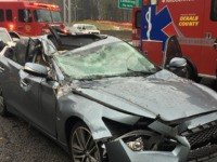 tree falls on car