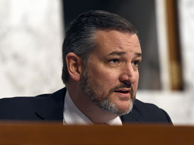 Sen. Ted Cruz, R-Texas, asks a question of Boeing Company President and Chief Executive Of