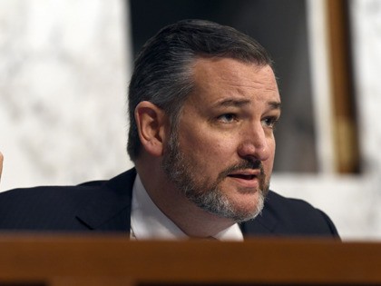 Sen. Ted Cruz, R-Texas, asks a question of Boeing Company President and Chief Executive Officer Dennis Muilenburg on Capitol Hill in Washington, Tuesday, Oct. 29, 2019, during a Senate Committee on Commerce, Science, and Transportation hearing on "Aviation Safety and the Future of Boeing's 737 MAX." (AP Photo/Susan Walsh)