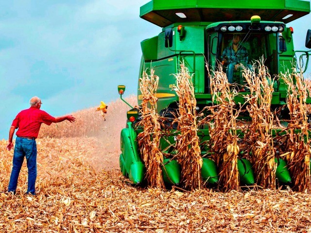 A farmer in Hastings, Minn. Photo: Kerem Yucel/AFP/Getty Images