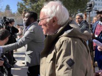 Bernie Sanders walks to vote (Joel Pollak / Breitbart News)