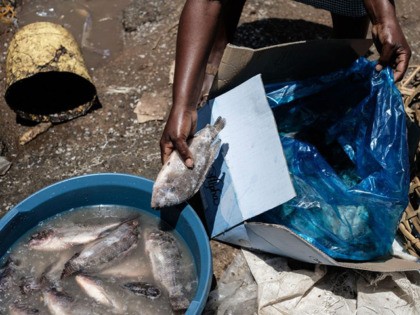 This photograph taken on October 2, 2018, shows a woman putting an imported tilapia from China into water to defrost at the municipal fish market in Kisumu, western Kenya. (Photo by Yasuyoshi CHIBA / AFP) (Photo credit should read YASUYOSHI CHIBA/AFP via Getty Images)