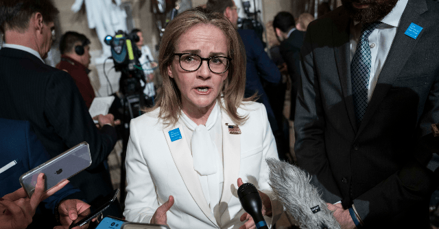 Dem Rep. Dean on Why ACA Needs Subsidies if It’s Good Law: People Will Lose Health Care