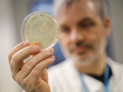 Doctor Paul McKay, who is working on an vaccine for the 2019-nCoV strain of the novel coronavirus, Covid-19,, poses for a photograph with bacteria containing the coronavirus, Covid-19, DNA, at Imperial College School of Medicine (ICSM) in London on February 10, 2020. - A team of UK scientists believe they …
