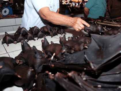 This photo taken on February 8, 2020 shows a vendor selling bats at the Tomohon Extreme Meat market on Sulawesi island, as business is booming and curious tourists keep arriving to check out exotic fare that enrages animal rights activists. - Bats, rats and snakes are still being sold at …