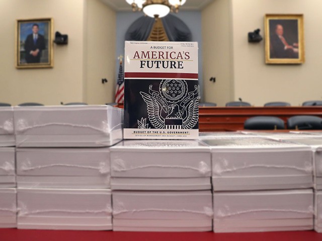 WASHINGTON, DC - FEBRUARY 10: Copies of President Trump's FY2021 budget are shown after be