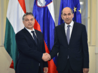 Slovenian Prime Minister Janez Jansa (R) shakes hands with his Hungarian counterpart Viktor Orban prior to their meeting on November 26, 2012 in Ljubljana. AFP PHOTO JURE MAKOVEC (Photo credit should read Jure Makovec/AFP via Getty Images)