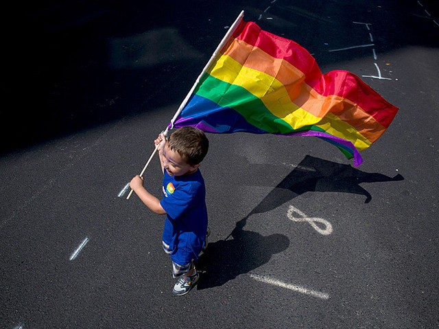 NEW YORK, NY - JUNE 26: A boy carries a flag during the New York City Pride March, June 26