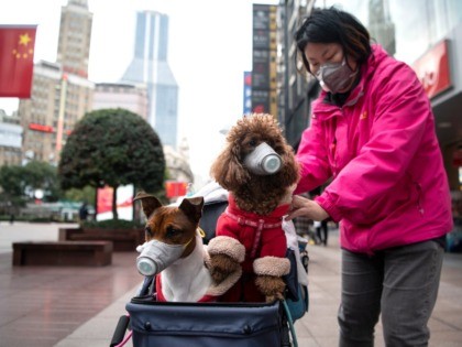 A woman pushes a stroller with two dogs wearing masks along a street in Shanghai on February 19, 2020. - The death toll from China's new coronavirus epidemic jumped past 2,000 on February 19 after 136 more people died, with the number of new cases falling for a second straight …