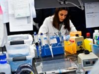 NUTLEY, NJ - FEBRUARY 28: A researcher works in a lab that is developing testing for the COVID-19 coronavirus at Hackensack Meridian Health Center for Discovery and Innovation on February 28, 2020 in Nutley, New Jersey. The facility develops novel therapies for some of the worlds most difficult diseases. At …