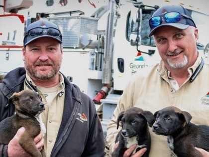 Three puppies in Gainesville, Georgia, are getting a new leash on life thanks to some kind-hearted Georgia Power employees.