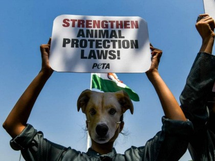 Indian volunteers for animal rights group People for the Ethical Treatment of Animal (PETA) wear masks of various animals during a protest in New Delhi on October 1, 2018. - PETA India has requested India's central government to strengthen the animal-protection laws which are nearly six decades old. (Photo by …