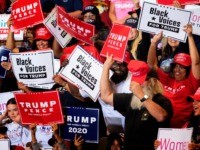 Nolte: Poll Shows Trump Eating into Democrat Black Vote