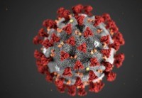 Mexican Border State Quarantines Businessman Returning from China for Potential Coronavirus