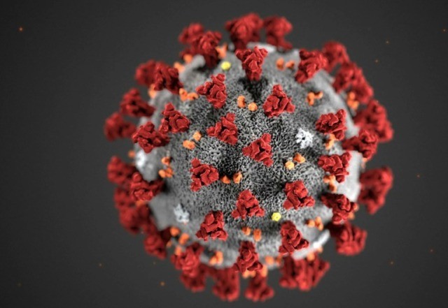 US health authority shipped faulty coronavirus test kits across country