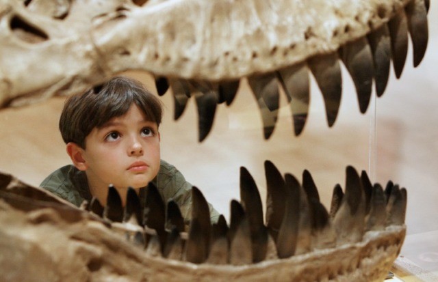 Argentine researchers find distant Tyrannosaurus relative