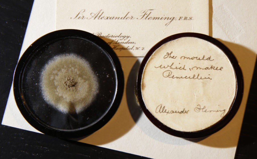 In this photo taken on Thursday, Feb. 16, 2017, a capsule of original penicillin mold from which Alexander Fleming made the drug known as penicillin on view at Bonham's auction house in London. The international auction house Bonham’s says it has sold a small, patchy disc of mold for $14,597. The off-white, nearly 90-year-old swatch of microbes has a rather extraordinary history: it was first created by Alexander Fleming to make penicillin, a revolutionary discovery that brought the world its first antibiotic. Bonham’s sold the mold Wednesday, March 1 during an auction in London. The germs are preserved in a glass case and feature an inscription by Fleming on the back, identifying it as “the mould that first made penicillin.” (AP Photo/Alastair Grant)