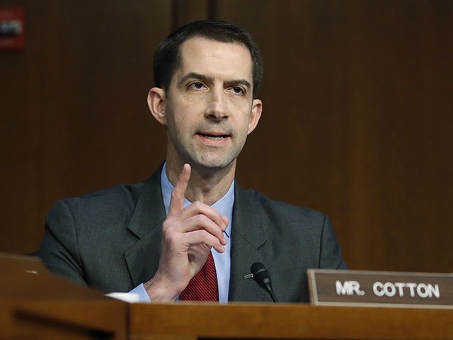 Sen. Tom Cotton, R-Ark., interrupts a fellow senator during a confirmation hearing of the Senate Intelligence Committee for CIA nominee Gina Haspel, on Capitol Hill, Wednesday, May 9, 2018 in Washington. (AP Photo/Alex Brandon)