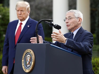 President Donald Trump listens as Dr. Anthony Fauci, director of the National Institute of Allergy and Infectious Diseases, speaks during a coronavirus task force briefing in the Rose Garden of the White House, Sunday, March 29, 2020, in Washington. (AP Photo/Patrick Semansky)