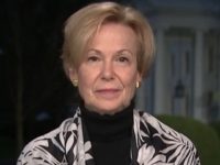 Birx: No 'Full-Time Team' Working on COVID Response in Trump WH