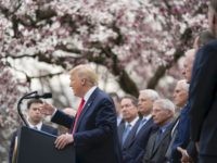 Donald Trump coronavirus press conference (The White House / Flickr / CC / Cropped)