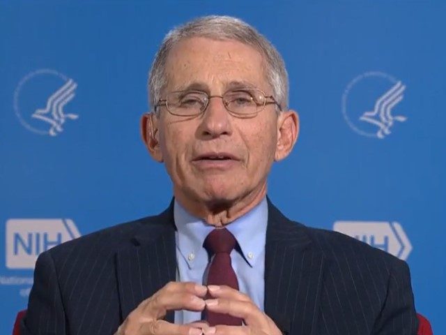 Anthony Fauci 331 Fauci