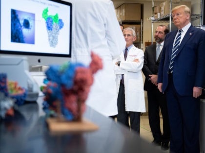 National Institute of Allergy and Infectious Diseases Director Tony Fauci (C) looks on nex