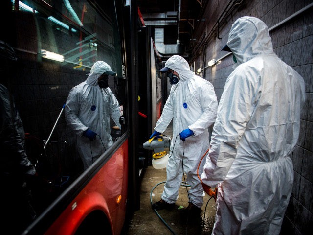 Workers wearing protective clothes disinfect an interior of a public bus in a bus-wash station at Transport Company of Bratislava city as part of precautionary measures against the spread of the new coronavirus COVID-19 in Bratislava, Slovakia on March 11, 2020. - Many schools were closed and public events were …