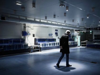 TOPSHOT - Marketing and communication director of the multinational wholesale chain METRO for France Frederic Bourcy walks through the closed fresh fish area in the group's flagship shop in Nanterre on March 27, 2020 during a strict lockdown in France aimed at curbing the spread of the COVID-19 infection, caused …