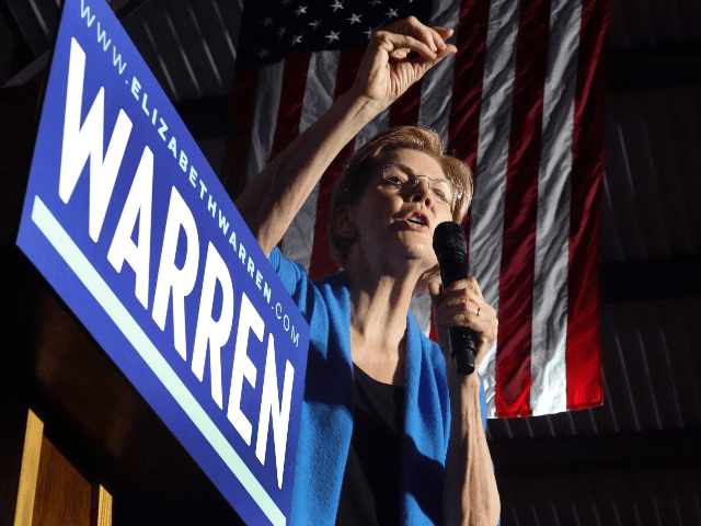 Democratic presidential candidate Sen. Elizabeth Warren (D-MA) speaks to supporters during