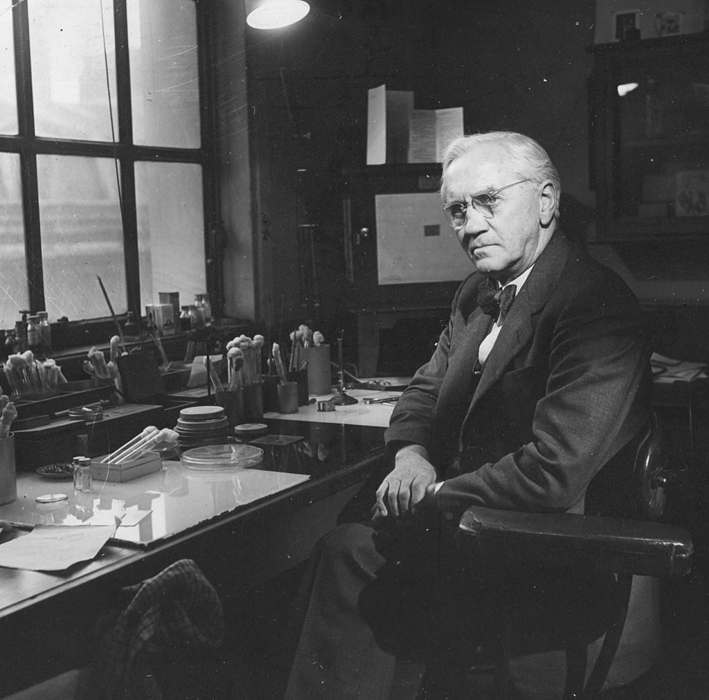 1951: British bacteriologist and Nobel laureate Sir Alexander Fleming (1881 - 1955) in his laboratory at the Wright-Fleming Institute, St Mary's Hospital, Paddington. Fleming was born in Ayrshire and educated at St Mary's Hospital, Paddington, where he served as Professor of Bacteriology (1928 - 1948). Fleming was the first doctor to use anti-typhoid vaccine on a human patient and he also discovered the antiseptic properties of lysozyme found in tears, body fluids and certain plants. He is most famous for his discovery of the antibiotic powers of penicillin in 1928. Fleming shared the 1945 Nobel Prize for Physiology or Medicine with the two chemists who had perfected a method of producing penicillin. (Photo by Baron/Getty Images)