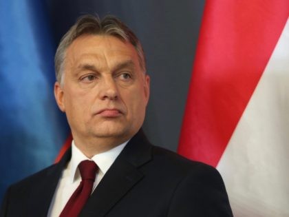 BUDAPEST, HUNGARY - FEBRUARY 17: Hungarian Prime Minister Viktor Orban speaks to the media with Russian President Vladimir Putin at Parliament on February 17, 2015 in Budapest, Hungary. Putin is in Budapest on a one-day visit, his first visit to an EU-member country since he attended ceremonies marking the 70th …