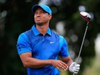 Woods