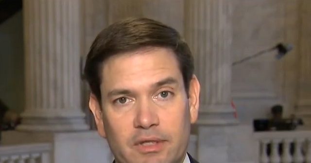 Rubio: 'Kamala Harris Has a Bigger Problem Among Men than Donald Trump Does Among Women'