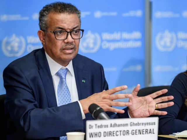 WHO director-general (Fabrice Getty / AFP / Getty)