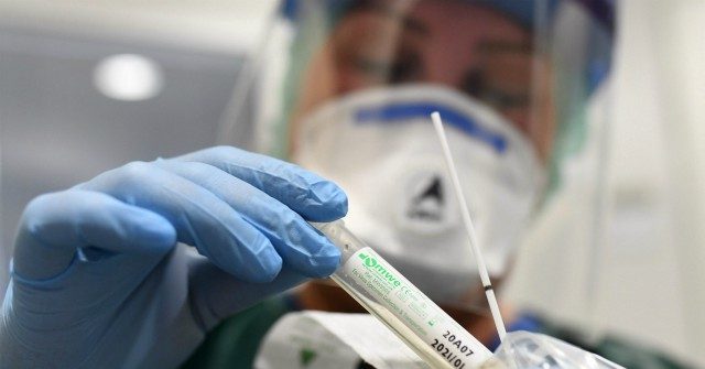 Joe Biden Website Promises to Ship Four Free Coronavirus Tests to Residents Within 7-12 Days