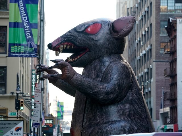 giant inflatable rat