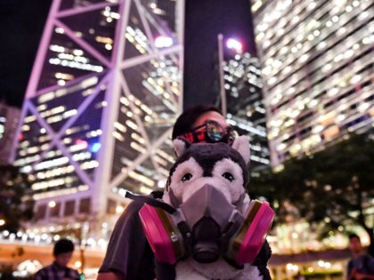 TOPSHOT - A dog owner holds a stuffed dog in a gas mask during the Veterinary Groups Say No To Tear Gas rally at Chater House in Hong Kong on August 30, 2019. (Photo by Lillian SUWANRUMPHA / AFP) (Photo credit should read LILLIAN SUWANRUMPHA/AFP via Getty Images)