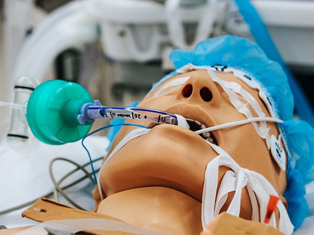 A medical training mannequin is intubated with a ventilator.