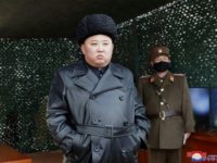 North Korea fires multiple projectiles: South's military