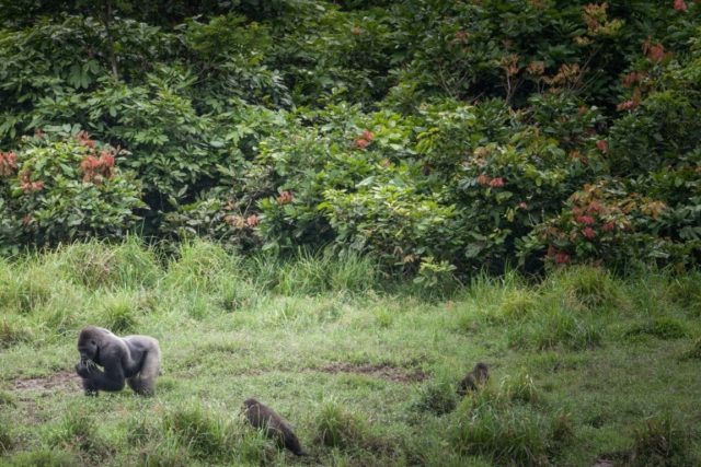 © AFP/File Amaury HAUCHARD