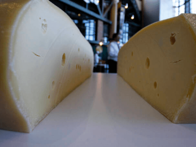 FILE- In this March 7, 2017, file photo, a freshly cut wheel of swiss cheese sits at the U.S. Championship Cheese Contest in Green Bay, Wis. The Wisconsin Legislature agreed Tuesday, May 2, to designate cheese as the official dairy product of Wisconsin, which produces more 3 billion pounds of …