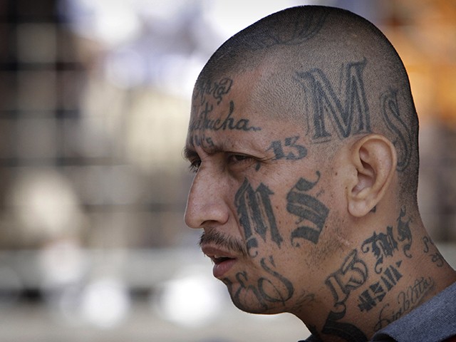 FILE - In this March 26, 2012 file photo a gang member of MS-13 attends mass at a prison in Ciudad Barrios, El Salvador. MS-13, or the Mara Salvatrucha, is believed by federal prosecutors to have thousands of members across the U.S., primarily immigrants from Central America. It has a stronghold in Los Angeles, where it emerged in the 1980s as a neighborhood street gang. (AP Photo/Luis Romero, File)