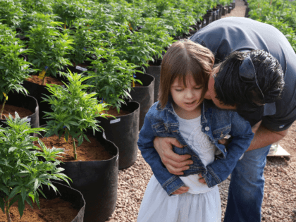 In this Feb. 7, 2014 file photo, Matt Figi hugs his daughter Charlotte, then 7, inside a greenhouse west of Colorado Springs where the strain of medical marijuana known as Charlotte's Web was grown. The strain was named for the girl early in her treatment for Dravet syndrome, a crippling …