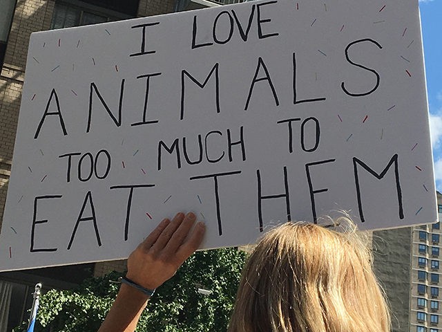 NEW YORK, NY - AUGUST 24: Animal Rights March 2019 in New York, New York on August 24, 2019. Photo Credit: Rainmaker Photo/MediaPunch /IPX