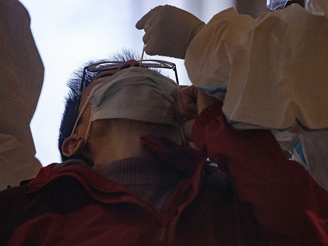 AP_20091415975951.jpg