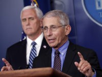 Dr. Anthony Fauci, director of the National Institute of Allergy and Infectious Diseases, speaks about the coronavirus in the James Brady Press Briefing Room of the White House, Thursday, April 9, 2020, in Washington, as Vice President Mike Pence listens. (AP Photo/Andrew Harnik)